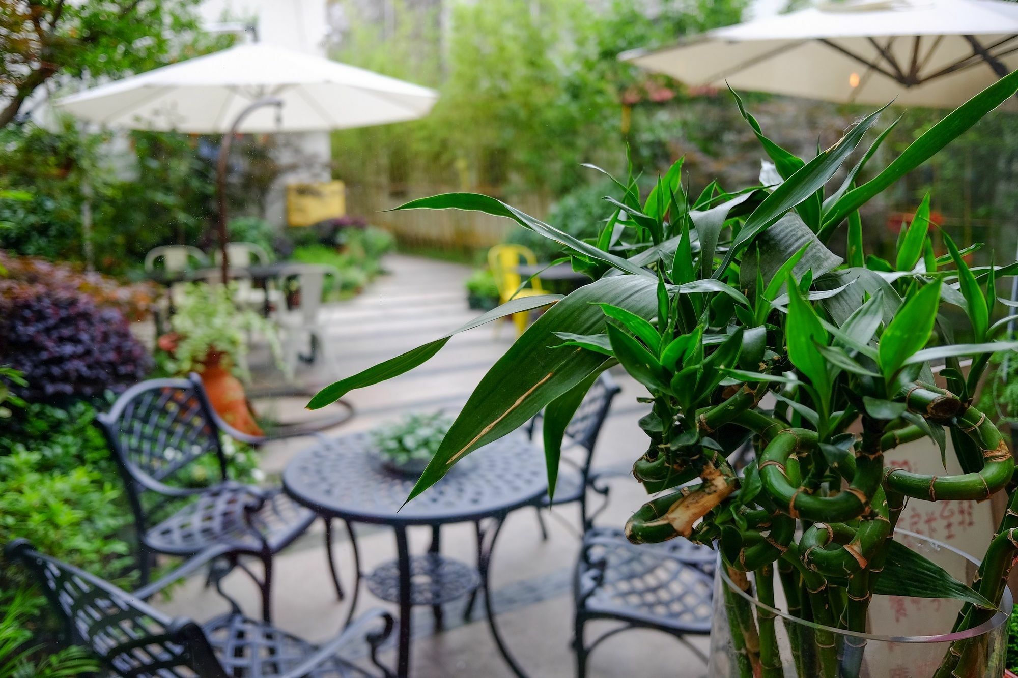Suzhou Homa Garden Hotel Esterno foto
